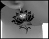 M~Black velvet rose Ears