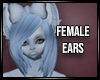 Bailey ears