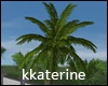 [kk] Palm Tree