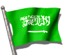 {L}Flag of Saudi Arabia