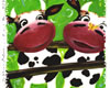 Moo Cows