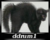 [DD]FX Black Cat 1