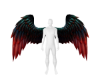 Crimson Wings F/M