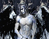 Poster Sexy Man Angel