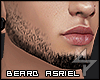 s. Asriel Beard MI