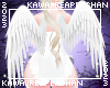 K| Angel Wings