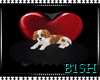 `BB` Romance Puppy