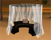 Island Marquee