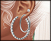 ~EarRings~