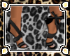 .J.O. Black Bow Lace