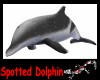 Spotted dolphin for male