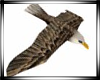 f Animated Eagle