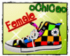 [Ci] Plaid shoes Female