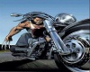 EasyRider 17