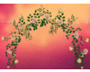SheerBlushRosesArch