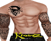 Chest Arms Tattoo (K)