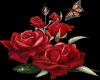 RED ROSES...