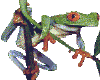 animated frog