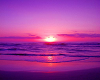 Background Purple sunset