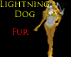 Shiny lightning dog fur