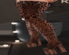 ¨ Wild Normani Boots