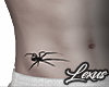 ☨ Spider  Chest ☨