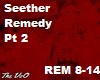 Seether Remedy