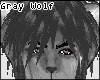 [B] Gray Wolf Fur