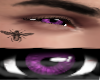 [HL]Purple Eye