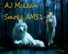 AJ McLean Smoke AMS1-9