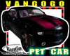 VG PET Car BLACK Purple