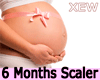 Prego 6M Scaler