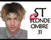 ST BLONDE OMBRE 31