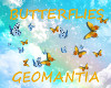 Butterflies swarm filler