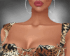 Cas bundle v1