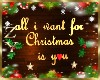 ZY: Christmas Sign