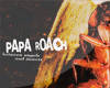 Papa Roach - Between