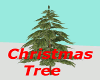 !asw christmas fir tree