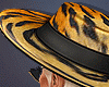 🧡 Tiger Hat
