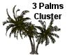 (MR) Palm Cluster