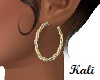Twisted Hoop Earrings