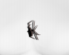 Animated Spider