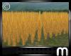 [M] Farm Wheat Field