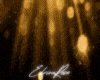 ~E~ Bokeh Overlays