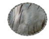 slk fur rug white tiger