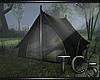 Camp tent