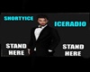 ICERADIO Link Board