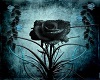 Gothic Blue Rose