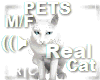 R|C White Cat Pets M/F
