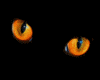 [LDs] Cats Eyes Orange
